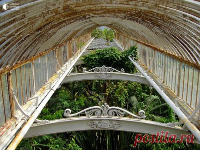 Королевские ботанические сады Кью Сады Кью не просто сады — это огромная парковая территория в 121 га, самая большая в мире коллекция растений (более 30 000 видов), более 650 сотрудников, библиотека в 750 000 томов книг, архивы, гербарий, банк семян, несколько оранжерей, дом кувшинок, аквариумы, альпийские сады, сад...