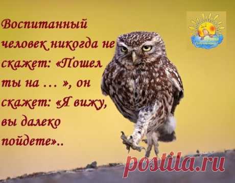 Одноклассники