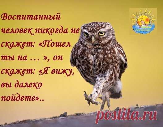 Одноклассники
