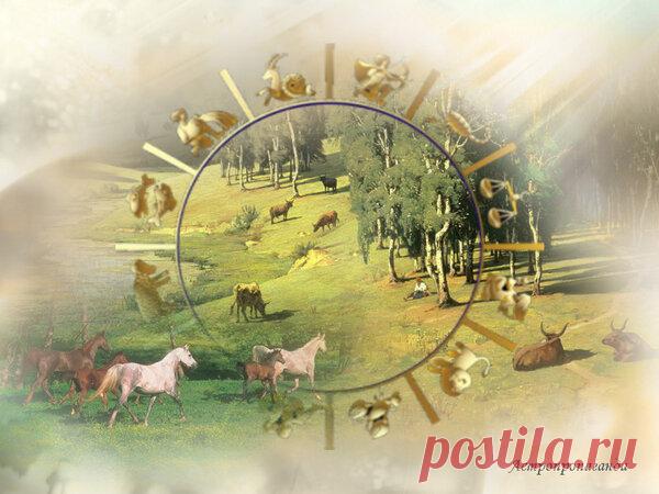 8 августа 2019. Советы астролога на день | Астропропаганда | Яндекс Дзен
✨ Автор: астролог Нина Стрелкова. 🌞 🌙 Советы астролога. 8 августа 2019. В этот день становится точным сильный гармоничный аспект двух планет, считающихся счастливыми. Венера («малое счастье») в тригоне с Юпитером («большое счастье»). Аспекты Луны тоже в основном гармоничны (кроме квадратуры с Марсом), а значит, кому то обязательно крупно повезет, у кого-то сбудутся желания. Если что-то намереваетесь...