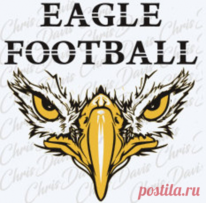 Eagle Football Head Вектор Скачать JPG SVG PNG Вы получите все | Etsy