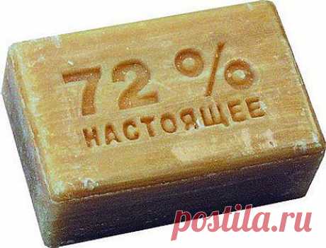 Дачные хитрости от А до Я