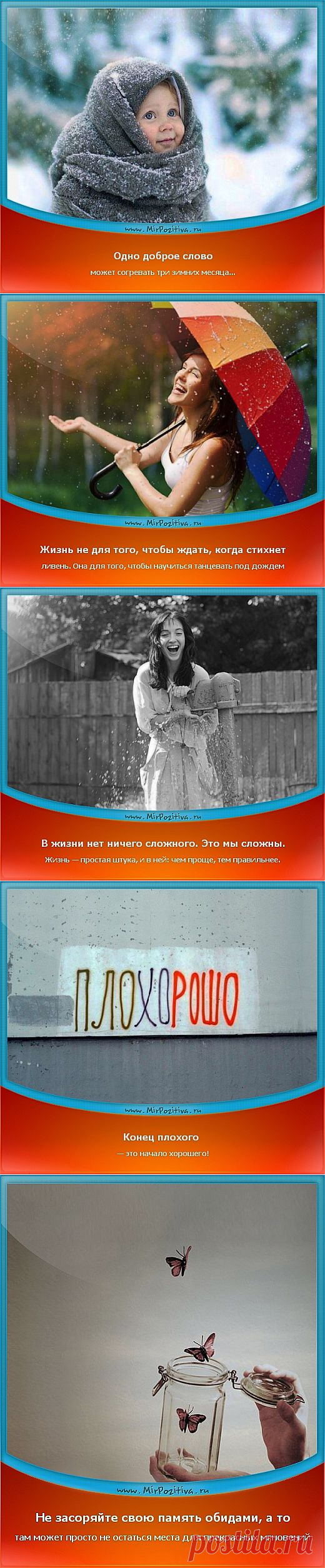 Позитивчики Недели (смотреть фото)