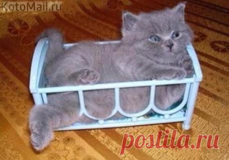 Кроватка маловата