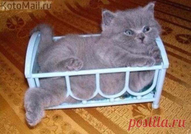 Кроватка маловата