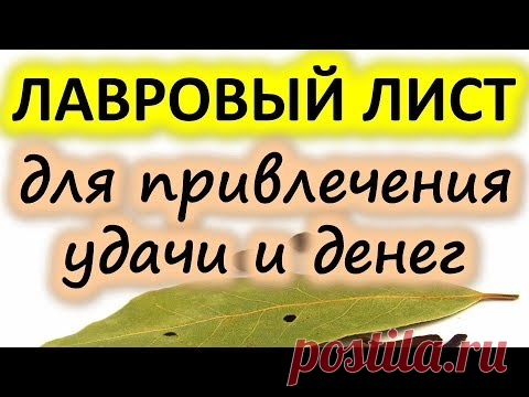 Лавровый лист для привлечения удачи и денег | Эзотерика для Тебя Советы Ритуалы Обряды Обереги
