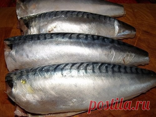 Скумбрия 