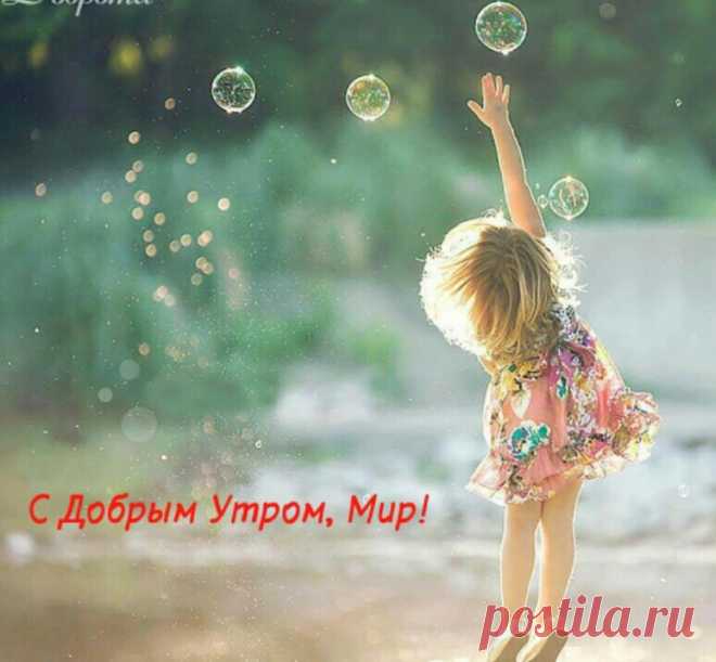 (22) Одноклассники