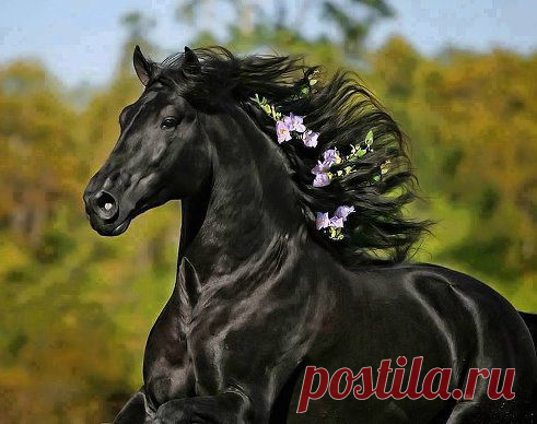 Красава!!! У меня аж дух перехватило!!!