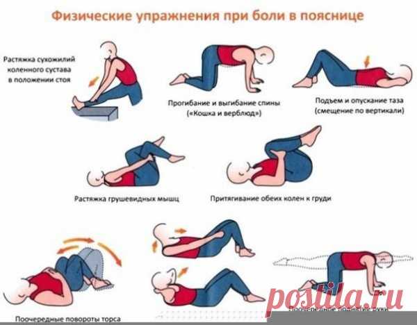 Скорая помощь себе любимому при болях в поянице