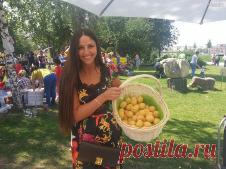 Не так страшен цианид: ученые выявили противораковые свойства косточек из яблок и абрикосов Витамин В17 - тот самый компонент, который известен еще как лаэтрил и амигдалин, - разрушает раковые клетки, не вредя организму.