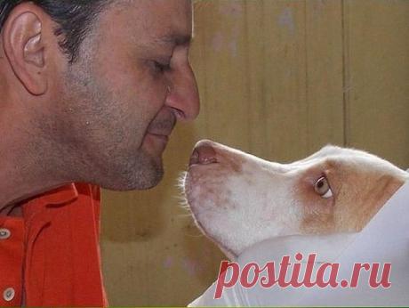 БеЗуМиНкА ღ(ړײ)ღ
25 лет, Россия, Барнаул
все её фото