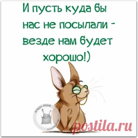 Правда Жизни | Юмор, Мотивация, Сарказм, Цитаты