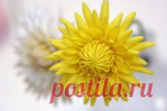 (+1) тема - Мои сайты - ForBlaBla