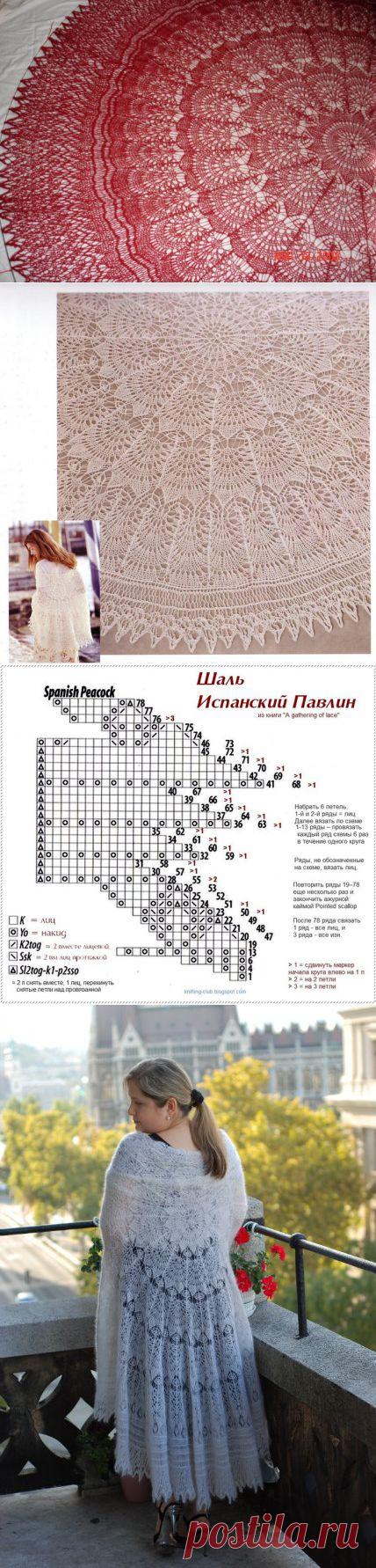 шаль испанский павлин