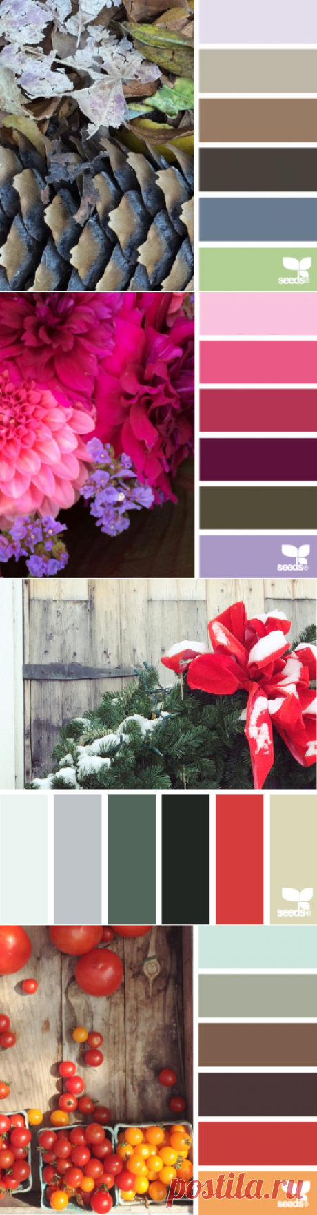 design seeds | for all who ♥ color