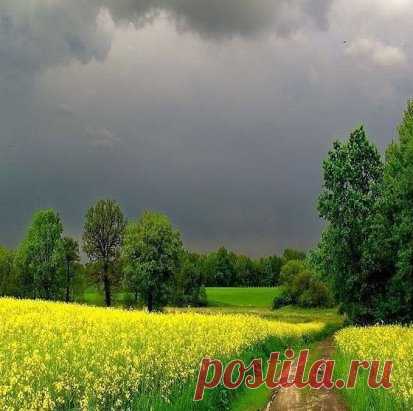 Сейчас ливанёт... Красота! Детство, ожидание дождя...