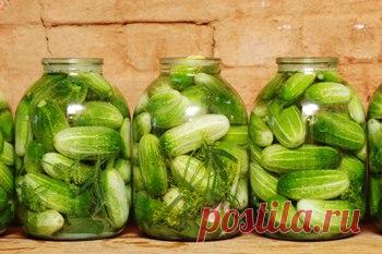 Огурцы маринованые: