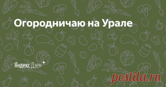 Огородничаю на Урале | Яндекс Дзен Привет со среднего Урала от огородницы Анюты!
Здесь будут размещаться видео про выращивание овощей.
Статьи про дачную жизнь на моем канале
https://zen.yandex.ru/ogorodudachi