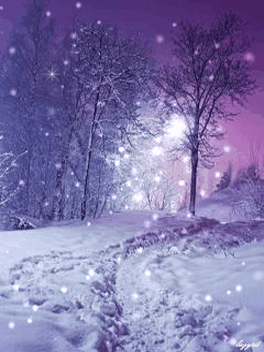 1098677.gif (240×320)