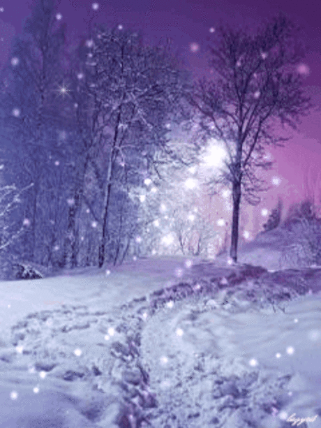 1098677.gif (240×320)
