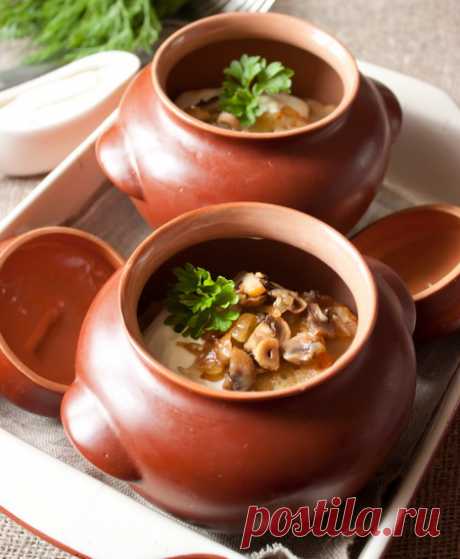 Драники с грудинкой и грибами в горшочке на Вкусном Блоге Драники с грудинкой и грибами в горшочке - вкусные проверенные рецепты, подбор рецептов по продуктам, консультации шеф-повара, пошаговые фото, списки покупок на VkusnyBlog.Com