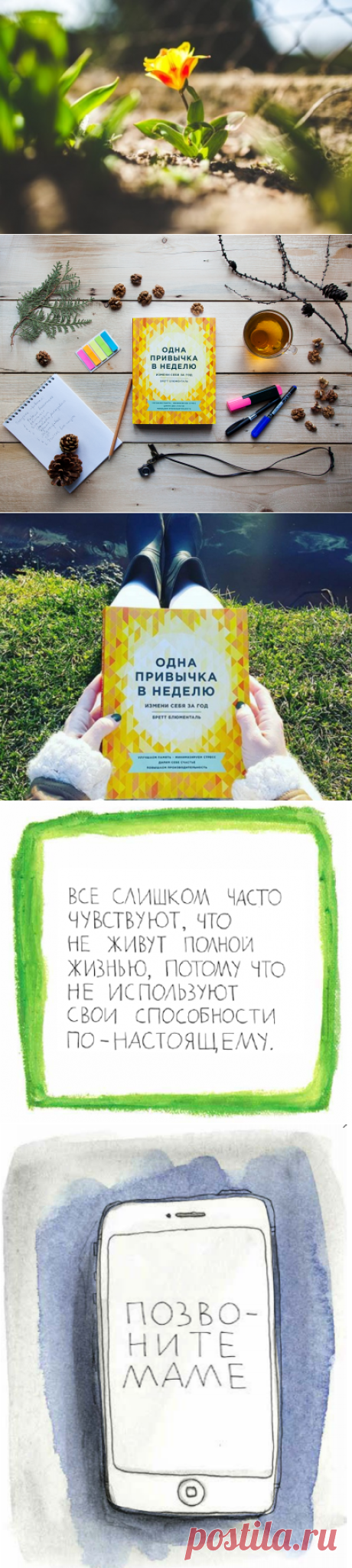 Одна привычка в неделю, 52 лайфхака и хорошее начало майских каникул | Блог издательства «Манн, Иванов и Фербер»