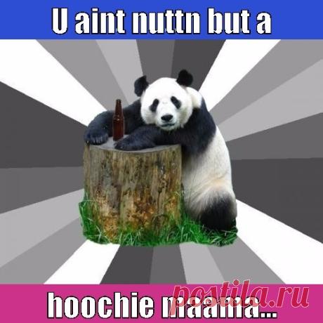 (: XPLAN NATION need NOT apply :) - Quick Picture