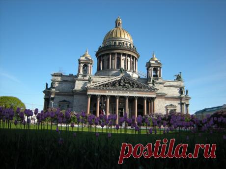 Тюльпаны в сквере перед Исаакиевским собором