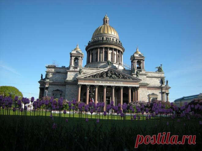 Тюльпаны в сквере перед Исаакиевским собором