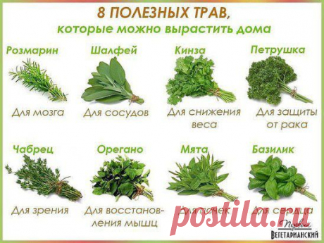 Вам сообщение!