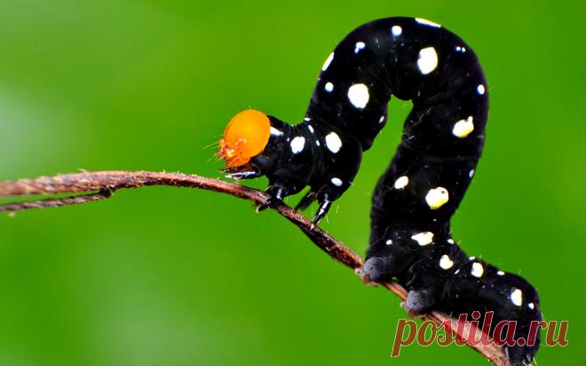 Страшно забавные