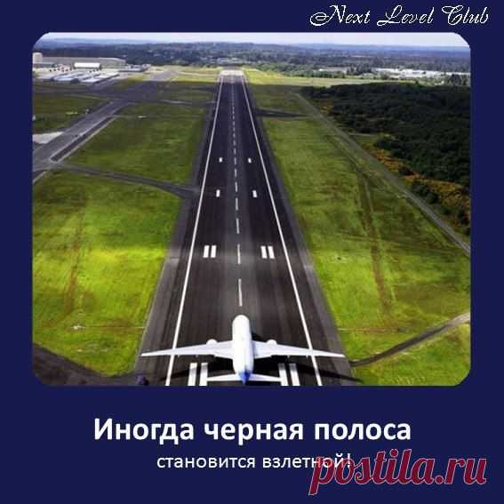 Next Level club, обучение МЛМ, инфобизнес