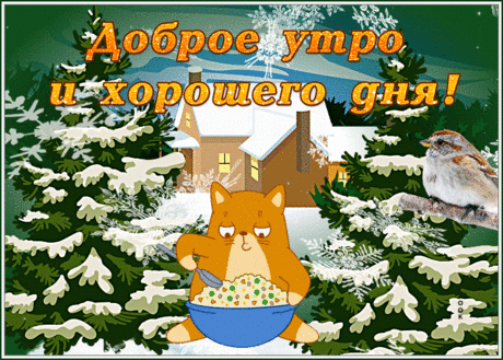 Открытка доброе утро с котенком