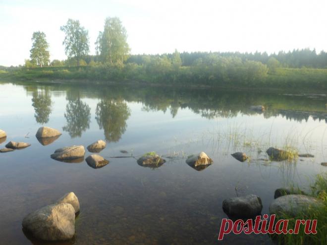 Очень понравилось стихотворение... Делюсь ностальгией...
.
Мне очень не хватает ромашек, васильков 
И поля безграничного ржаного, 
Колодезной воды, мычания коров. 
Показать полностью…