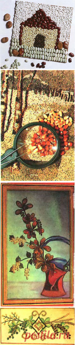 Семена и краски