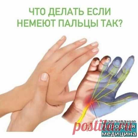 ПОЧЕМУ НЕМЕЮТ ПАЛЬЦЫ РУК?

На лавочке сидели две пожилые подруги и судачили о своих и чужих детях, родственниках и соседях, о величине пенсий и современных нравах молодёжи. Мимо них проходили молодые женщины, видимо, спешащие с работы домой. В руках у каждой было по тяжеленной сумке с продуктами. Одна из сидящих на лавочке бабушек грустно вздохнула и изрекла: «Бегают, касатки, я тоже так вот с сумищами носилась, а теперь руки немеют, и ноги болят, отработалась, отбегалась ...