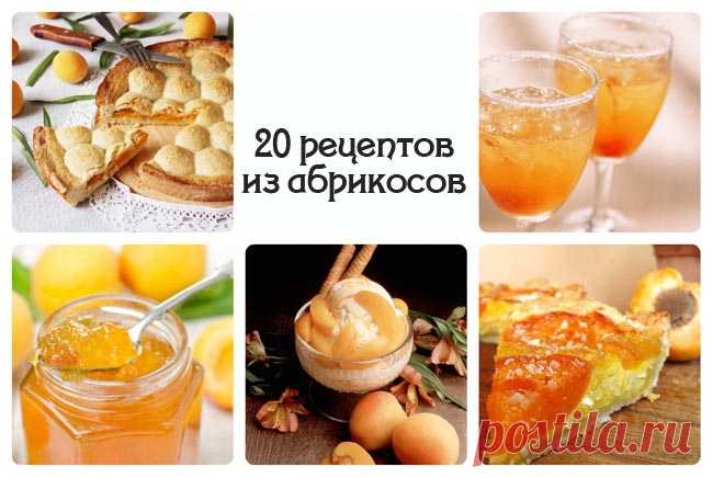 20 рецептов из абрикосов | Море идей