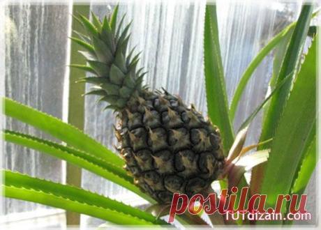 Идеи для дома » Страница 3 » Планета рукоделия