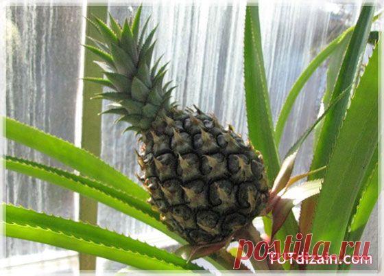 Идеи для дома » Страница 3 » Планета рукоделия