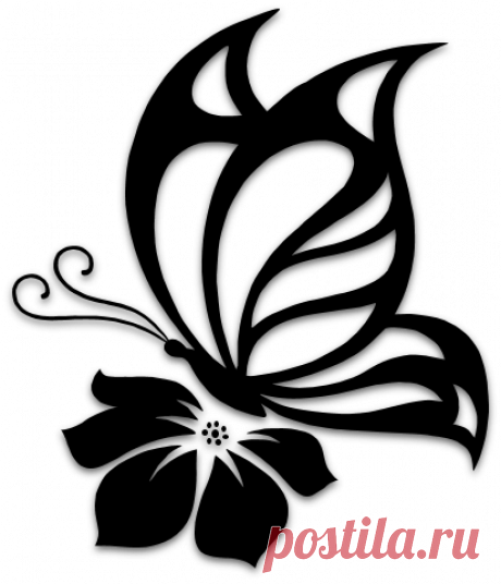 butflv1b.png (412×480)