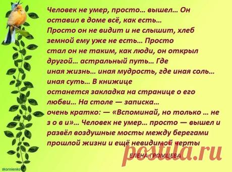 (9) Одноклассники