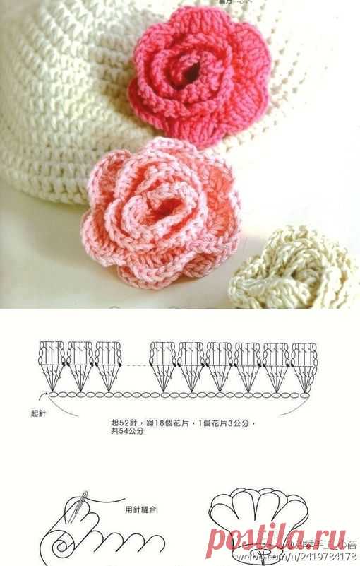 (3) Pinterest