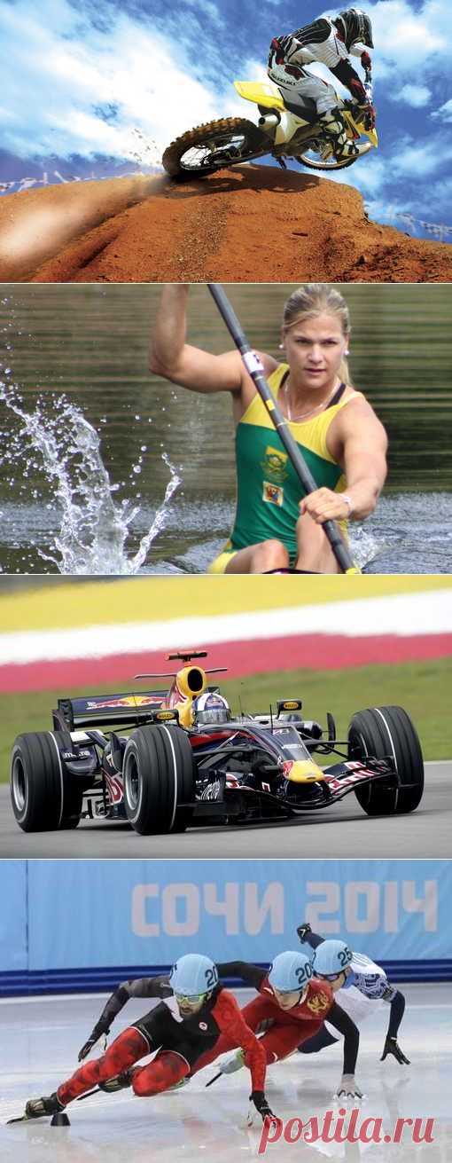 Гольф, Стрельба из лука, Бильярд, Подводное фотографирование. (1/1) - Спортивный форум. - Спортивный сайт