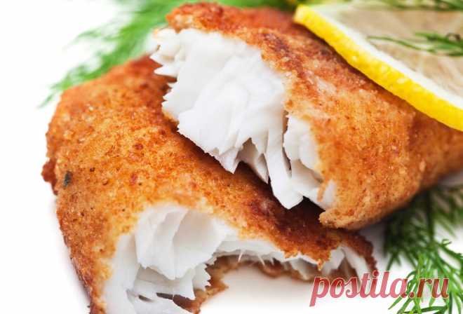 Ужин на скорую руку: рецепты из простых продуктов (вкусные, диетические, экономные)