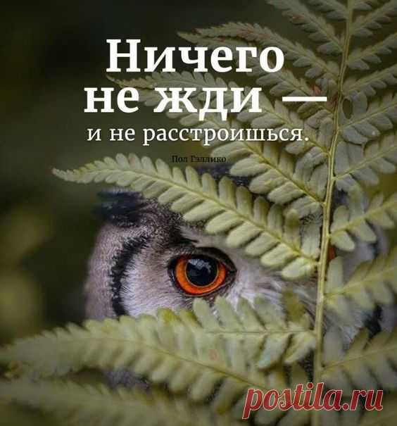 Мудрость времен — Разное | OK.RU