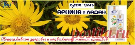 Натуральный крем–гель Арника от Just  для суставов и мышц. Обезболивающий. Он с легкостью ускоряет процесс заживления, стимулирует кровоснабжение, процесс регенерации происходит наряду с противовоспалительным действием. Препятствует образованию растяжек, рубцов, синяков, устраняет застойный процесс  в тканях. Лучший при ушибах подходит как взрослым, так и детям старше 1–го года. Устраняется венозный застой, рассасываются гематомы.