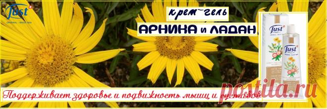 Натуральный крем–гель Арника от Just  для суставов и мышц. Обезболивающий. Он с легкостью ускоряет процесс заживления, стимулирует кровоснабжение, процесс регенерации происходит наряду с противовоспалительным действием. Препятствует образованию растяжек, рубцов, синяков, устраняет застойный процесс  в тканях. Лучший при ушибах подходит как взрослым, так и детям старше 1–го года. Устраняется венозный застой, рассасываются гематомы.