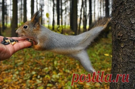 i (548×361)