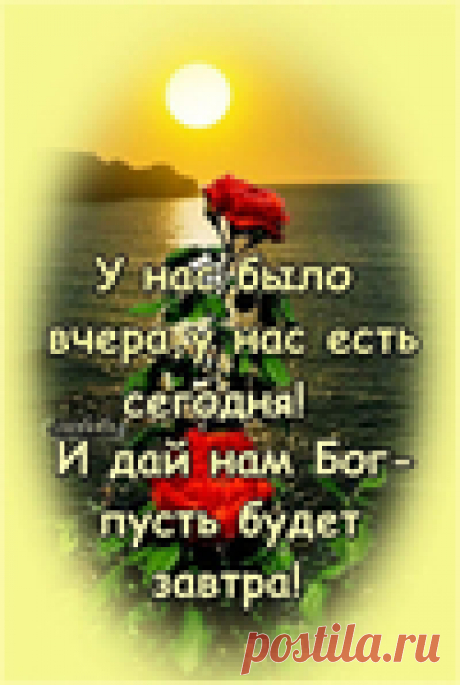 Масло календулы в домашних условиях. Приготовление и использование. КАЛЕНДУЛА ЛЕЧИТ ДАЖЕ РАК